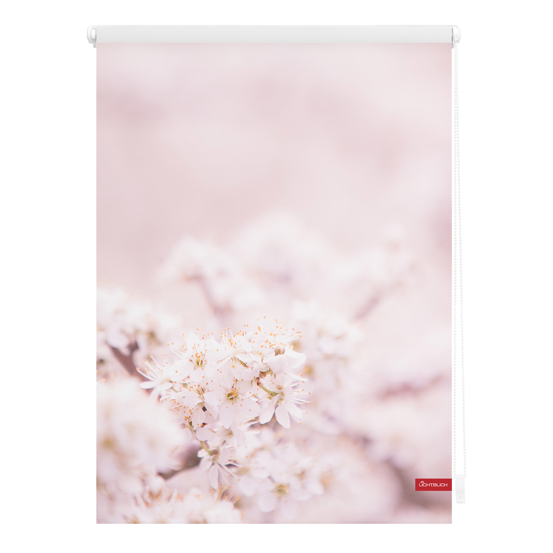 Klemmfix Rollo Kirschblüten (90x150, rosa-weiß)