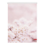 Klemmfix Rollo Kirschblüten (45x150, rosa-weiß)