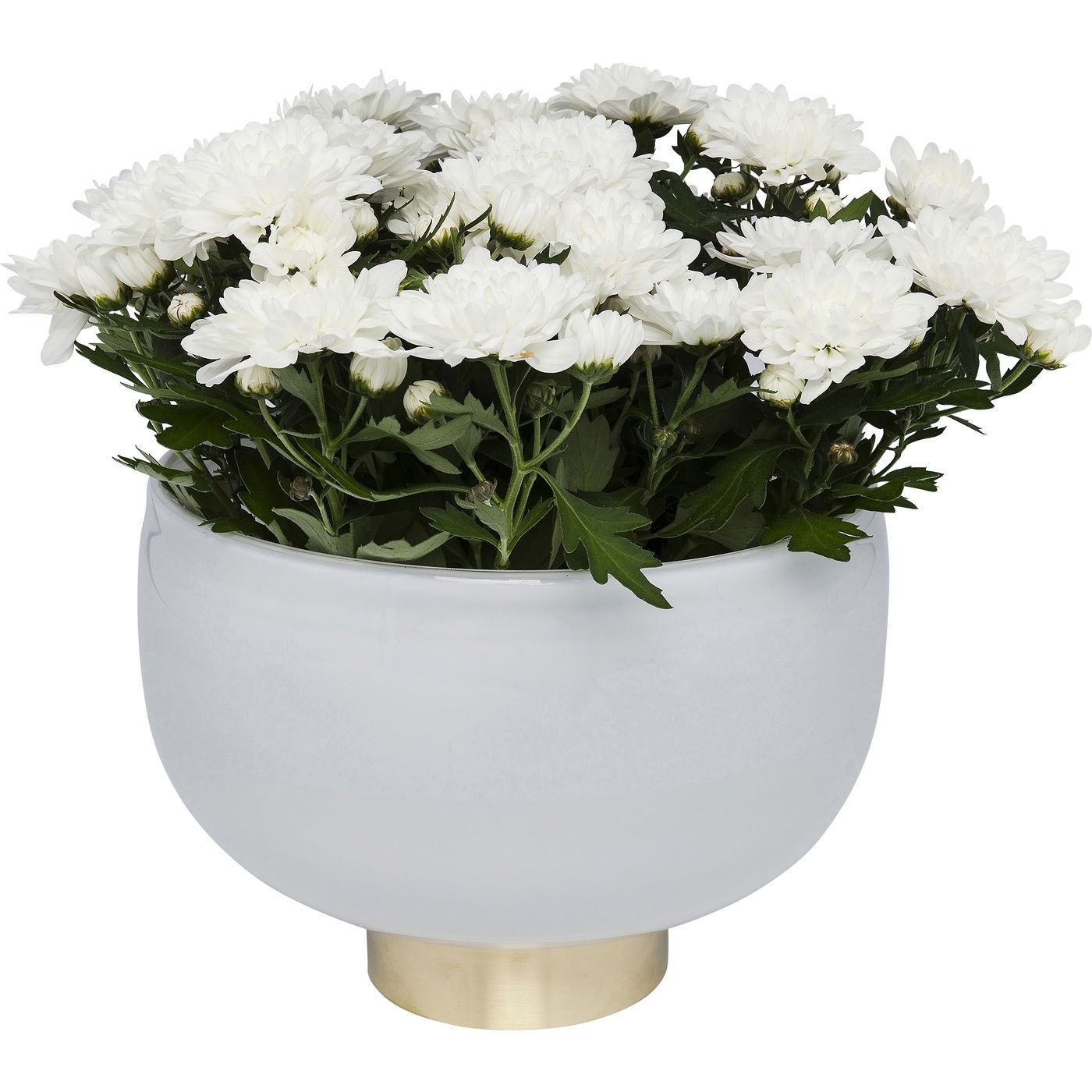 Vase Pure Weiß Bowl 17cm